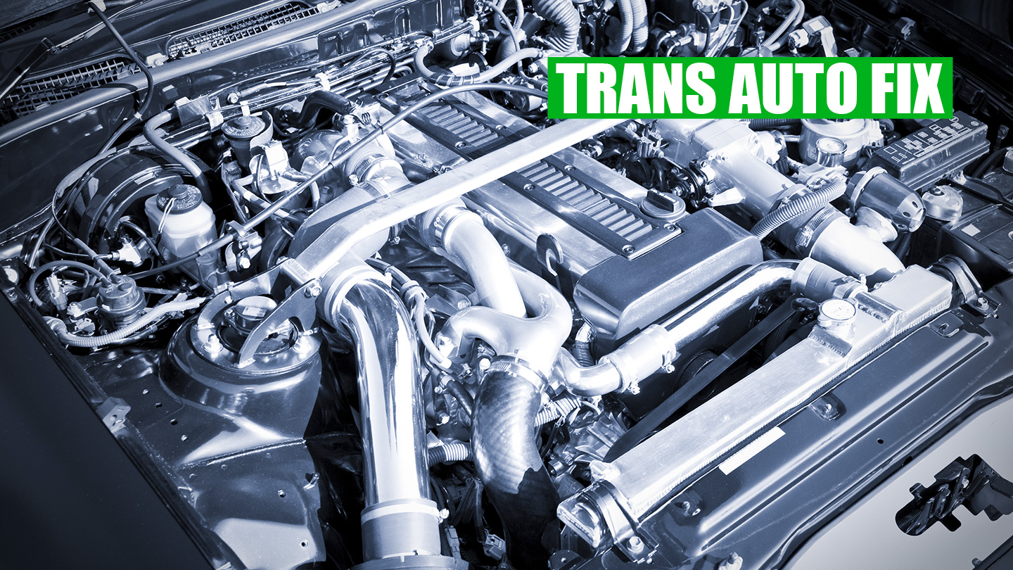 CleanMotorSection-Oil-Change-Car-Maintenance-TransAutoFix-Toronto-Car-Repair-NorthYork